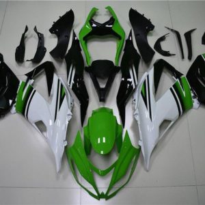 Kawasaki Ninja ZX6R 2013-2018 Green White Glossy Black ABS Fairings | Motovation Frgs