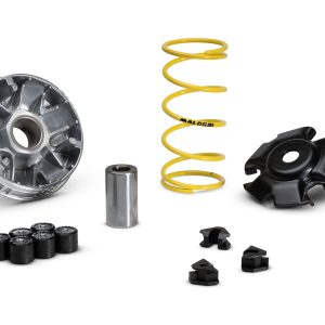 MULTIVAR 2000 variator WOTTAN MOTOR STORM T 125 ie 4T euro 5 2023->