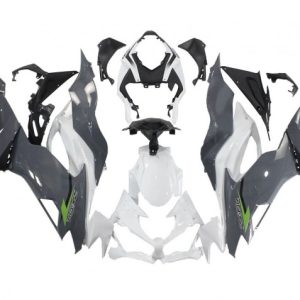 Kawasaki Ninja ZX6R 2019-2022 White Grey Green ABS Fairings | Motovation Frgs