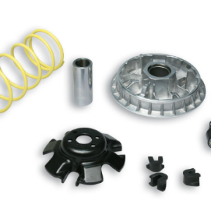 MULTIVAR 2000 variator  ACCESS SPORT 300 4T LC euro 3 2007->2010